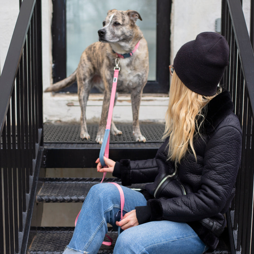 Nightsafe™ Dog Leash