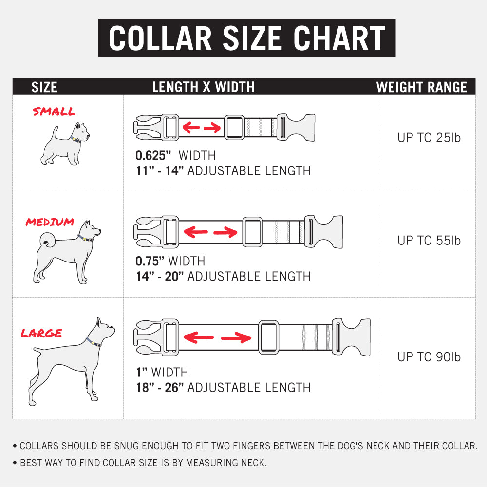 Nightsafe™ Dog Collar