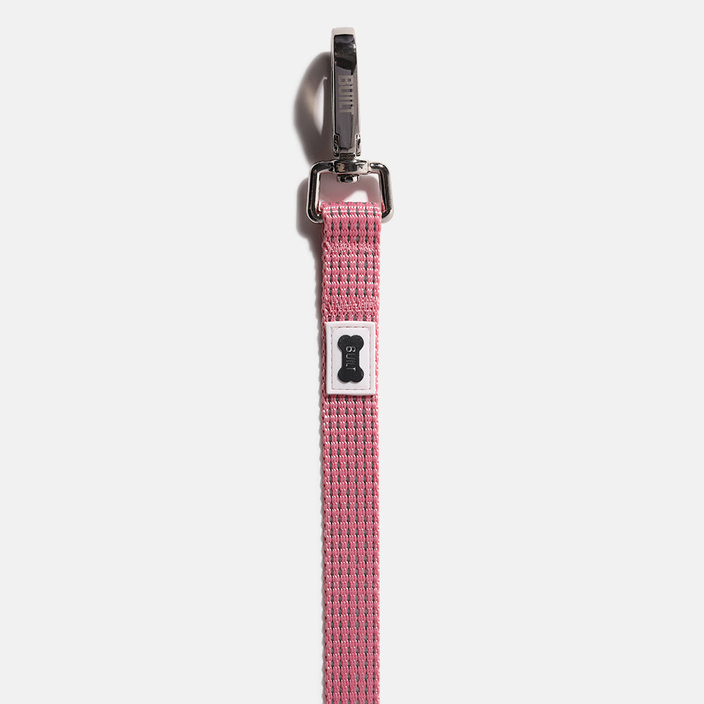 Nightsafe™ Dog Leash