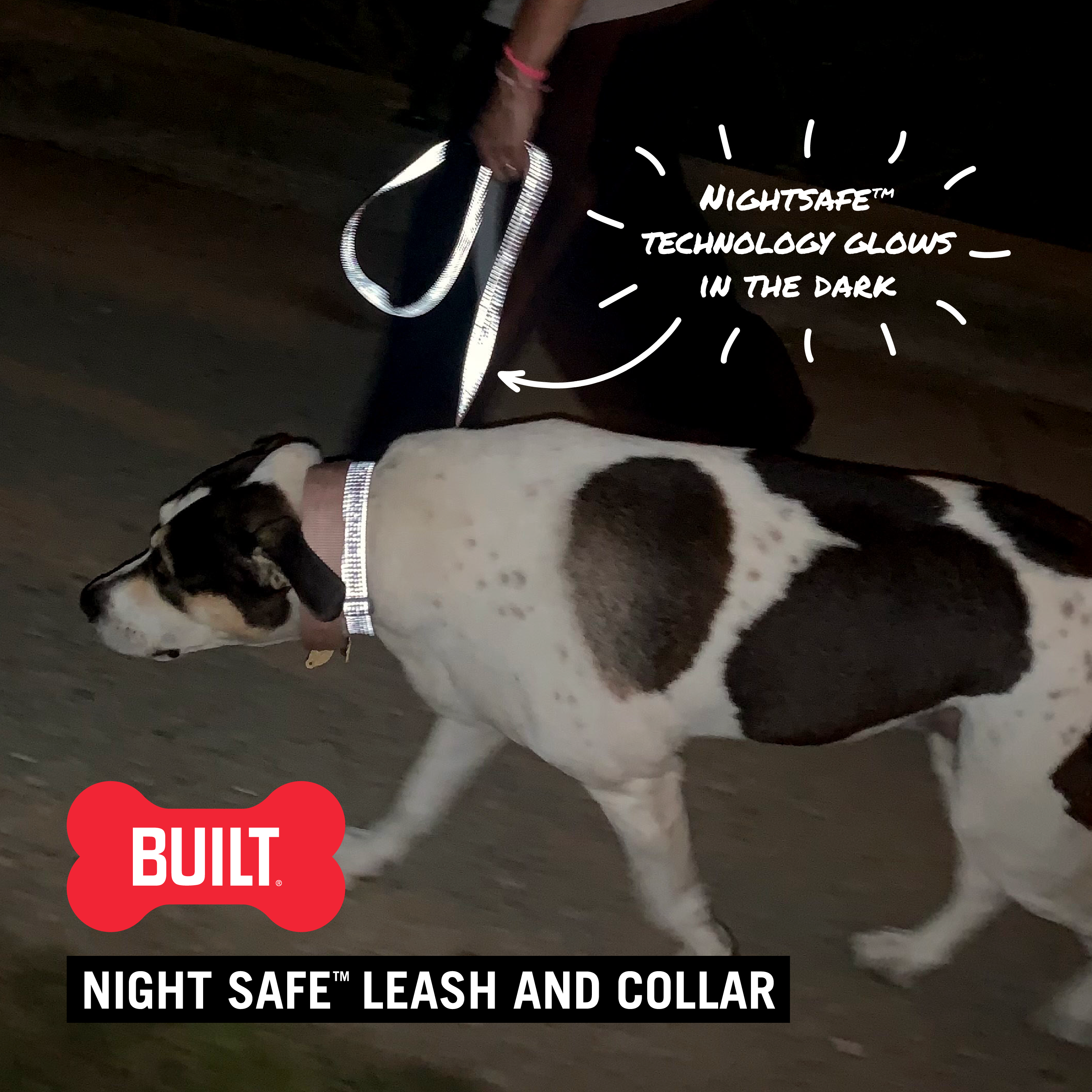 Nightsafe™ Dog Leash